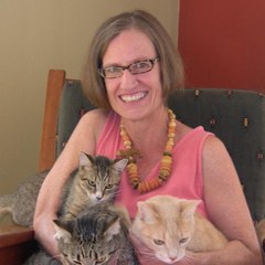Beth Lambdin